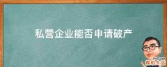 私营企业能否申请破产