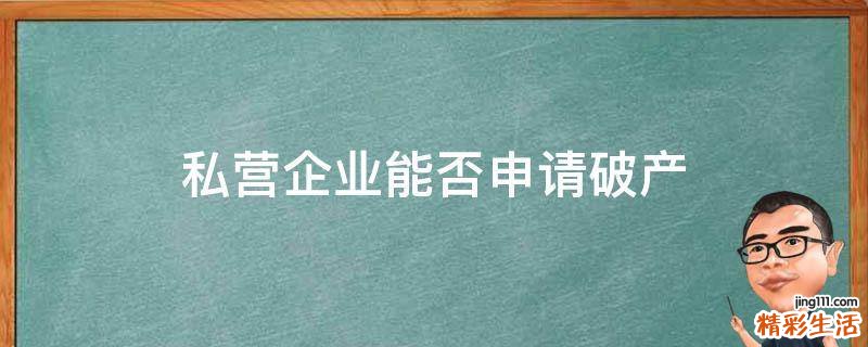 私营企业能否申请破产