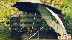 四肢畸形的原因_四肢畸形是怎么引起的