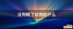 没狗粮了给狗吃什么