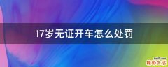 17岁无证开车怎么处罚