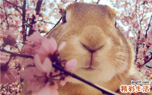 隐性水肿的原因_隐性水肿是怎么引起的