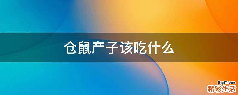 仓鼠产子该吃什么