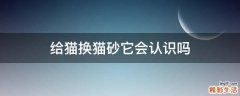 给猫换猫砂它会认识吗