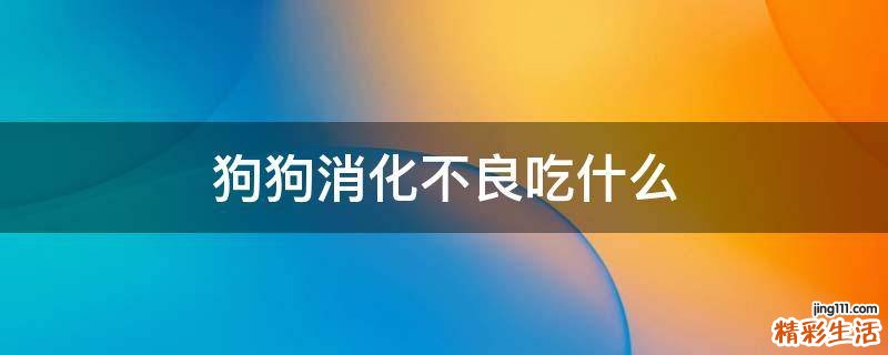 狗狗消化不良吃什么