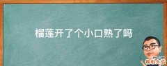榴莲开了个小口熟了吗