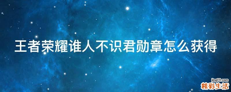 王者荣耀谁人不识君勋章怎么获得
