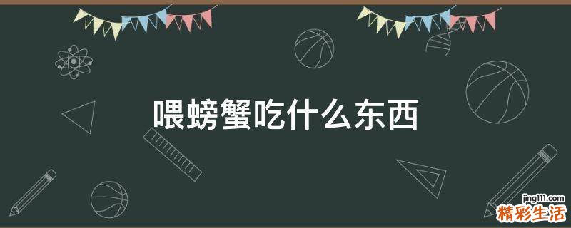 喂螃蟹吃什么东西