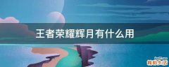 王者荣耀辉月有什么用