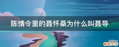 陈情令里的聂怀桑为什么叫聂导