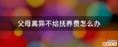 父母离异不给抚养费怎么办
