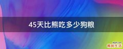 45天比熊吃多少狗粮