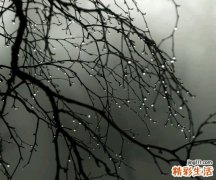 4 美容养颜的食物有哪些