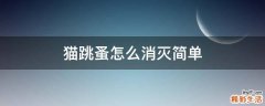 猫跳蚤怎么消灭简单