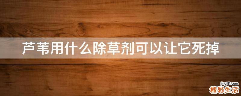芦苇用什么除草剂可以让它死掉