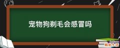 宠物狗剃毛会感冒吗