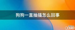 狗狗一直抽搐怎么回事