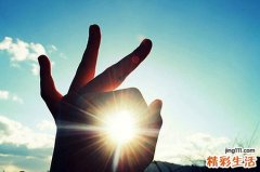 美容养颜的食物有哪些