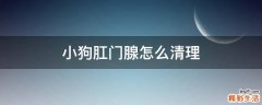 小狗肛门腺怎么清理