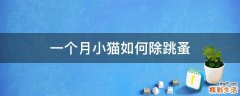 一个月小猫如何除跳蚤
