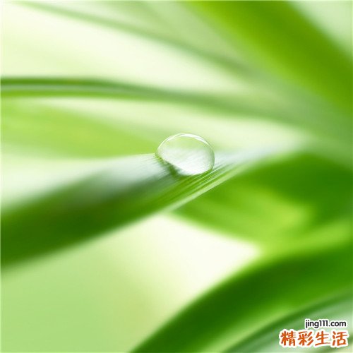 老人养胃吃什么好