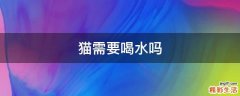 猫需要喝水吗