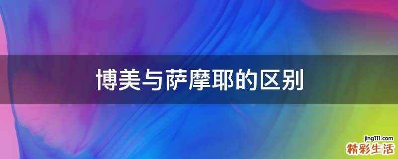 博美与萨摩耶的区别