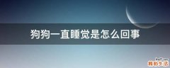 狗狗一直睡觉是怎么回事