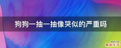 狗狗一抽一抽像哭似的严重吗