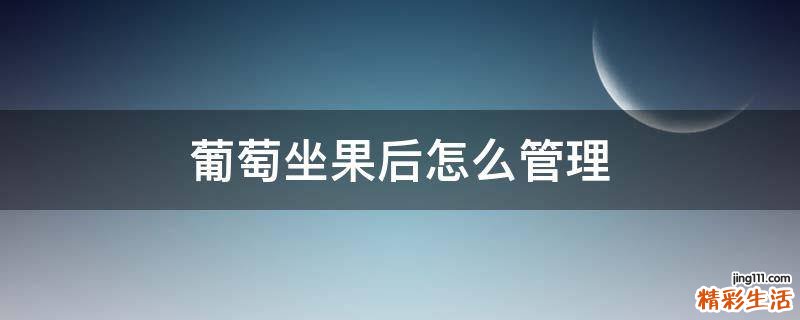 葡萄坐果后怎么管理