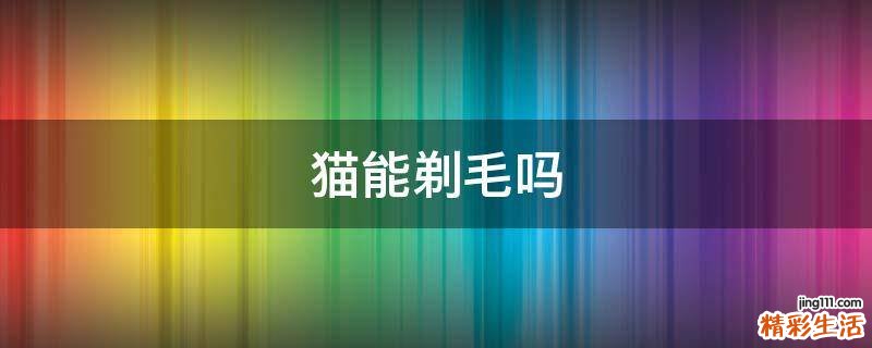 猫能剃毛吗