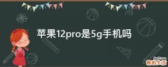 苹果12pro是5g手机吗