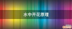 水中开花原理