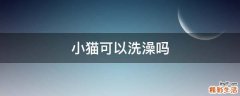 小猫可以洗澡吗