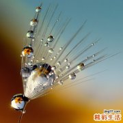 看牙齿辨别疾病