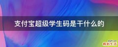 支付宝超级学生码是干什么的