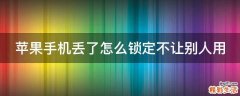 苹果手机丢了怎么锁定不让别人用