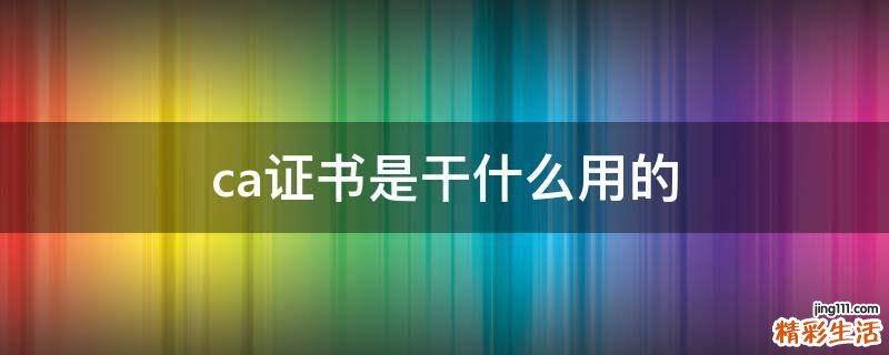 ca证书是干什么用的