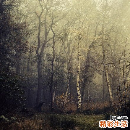 3 美容养颜 减肥瘦身的水果