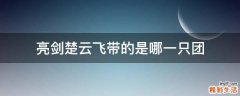 亮剑楚云飞带的是哪一只团