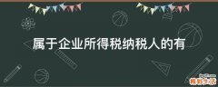 属于企业所得税纳税人的有