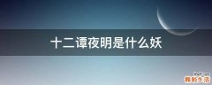 十二谭夜明是什么妖
