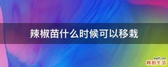 辣椒苗什么时候可以移栽