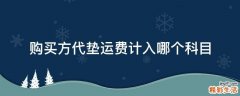 购买方代垫运费计入哪个科目