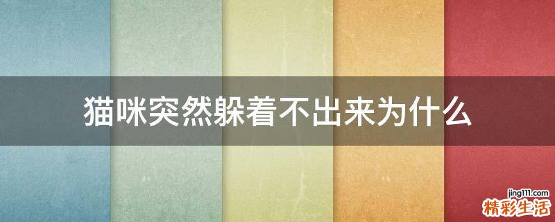 猫咪突然躲着不出来为什么