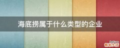 海底捞属于什么类型的企业