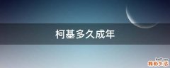柯基多久成年