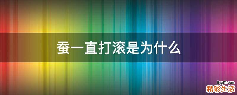 蚕一直打滚是为什么
