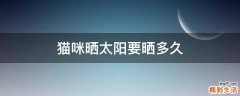 猫咪晒太阳要晒多久