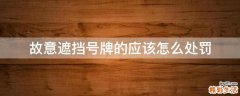 故意遮挡号牌的应该怎么处罚